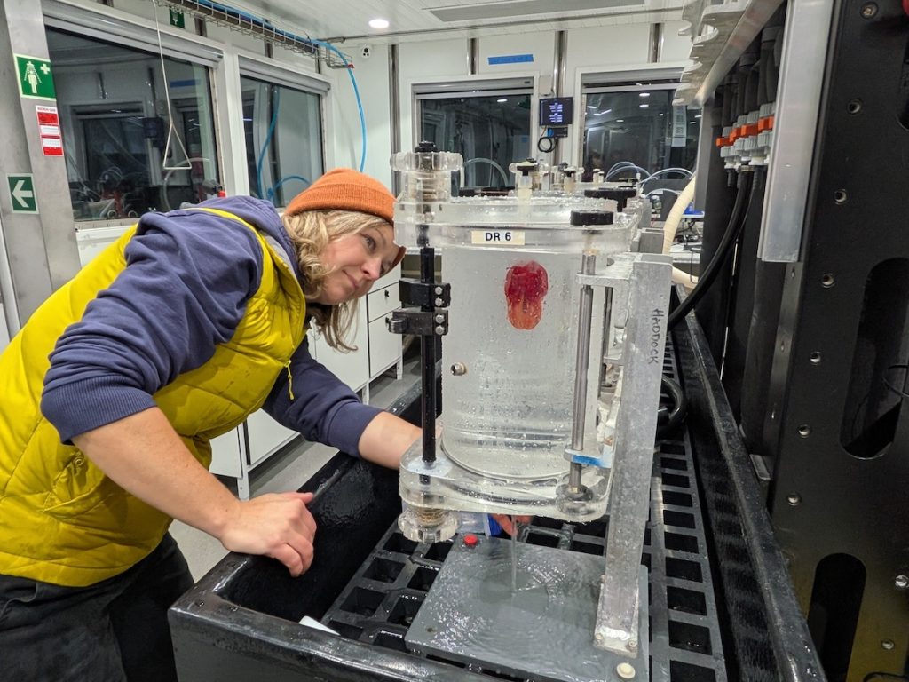 A Monterey Bay Aquarium biologist examines a red deep-sea jelly in the lab aboard a research ship. The biologist has short blonde hair and is wearing an orange beanie cap, blue hooded sweatshirt, yellow vest, and black pants. She is leaning over looking at a clear plastic canister filled with water and a bulbous red comb jelly. On the right side of the frame is a black fiberglass frame with water hoses. In the background are white walls and windows looking out to black night sky.
