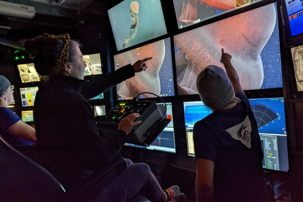 Two researchers in the dark control room aboard a research ship point to a bank of large video monitors displaying a dark red deep-sea jelly. The researcher on the right is wearing a yellow patterned headband and a dark jacket. She is seated with her right hand on a panel of camera controls and her left hand pointing to the video monitor. The second researcher is wearing a gray beanie and a blue t-shirt with the MBARI logo on the back. She is facing away from the camera and pointing to the screen with her right hand.