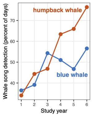 A data plot with red and blue lines visualizes the amount of whale song recorded over six years. The left axis has a caption that reads Whale song detection (percent of days) with markers for 40, 50, 60, and 70. The bottom axis has a caption that reads Study year with markers for 1, 2, 3, 4, 5, and 6. The red line is labeled humpback whale and is trending up from the bottom left to the top right. The blue line is labeled blue whale and is trending up, then down, then back up.